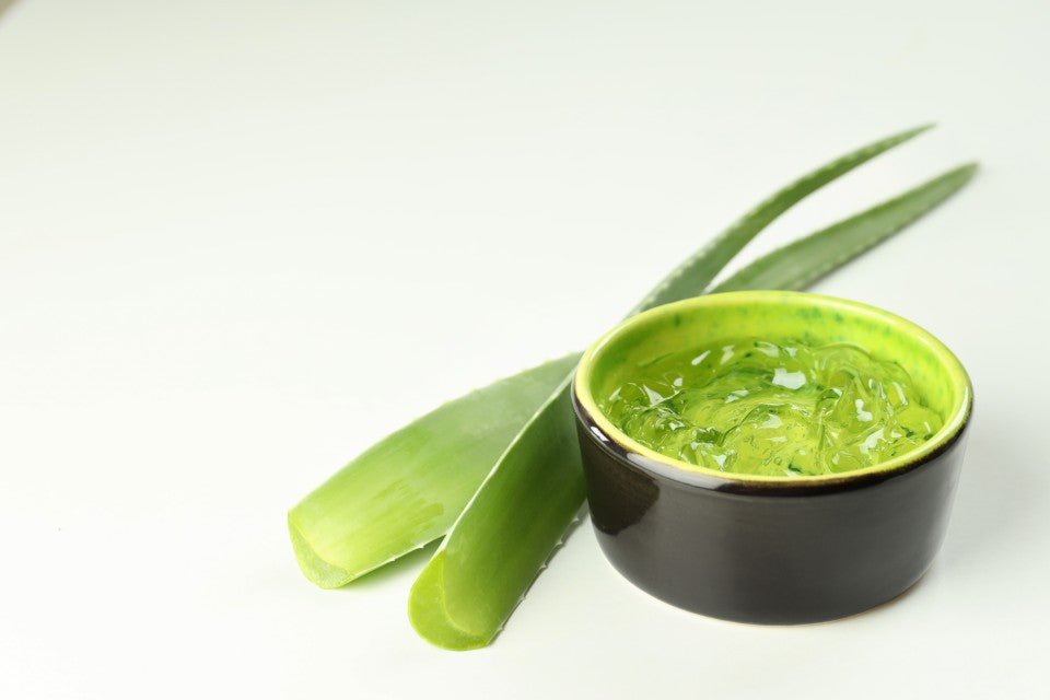 Is Aloe Vera Good for Itchy Skin
