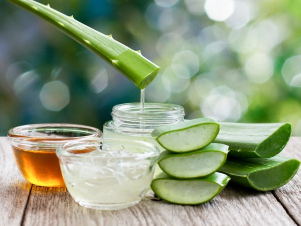 Homemade DIY Aloe Vera Toner for Clearer Skin