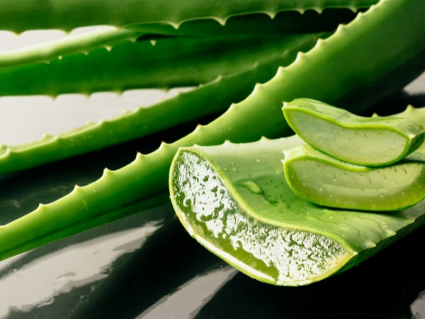 Aloe Vera Face Masks Recipe for Healthy, Glowing Skin