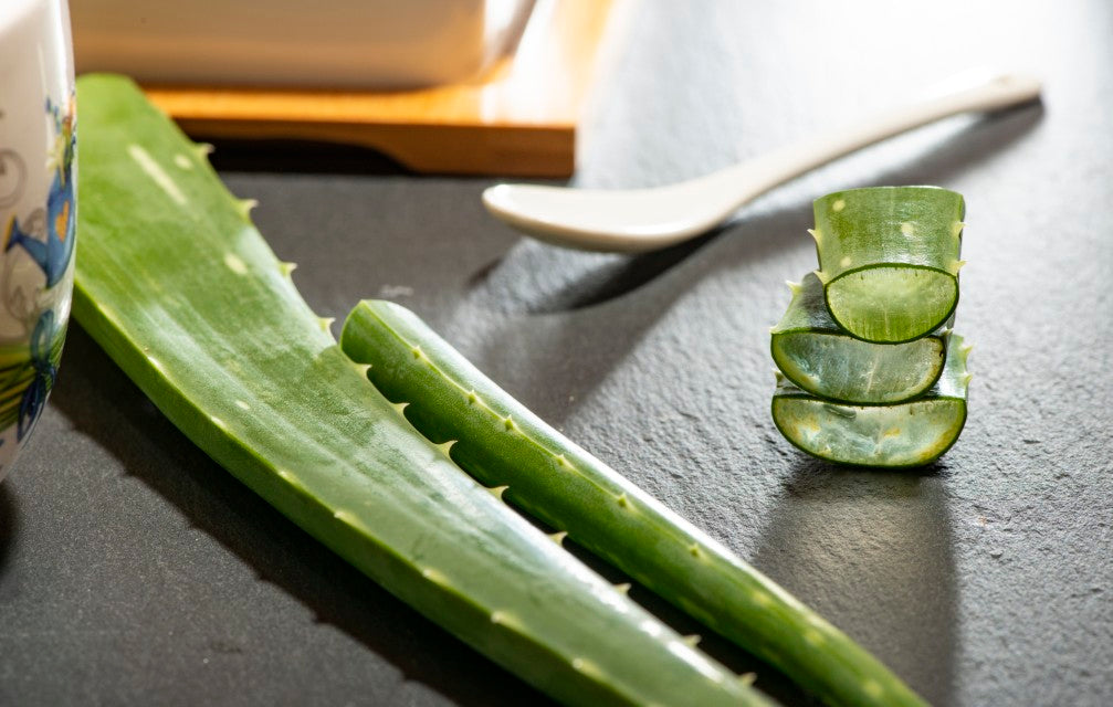 Does Aloe Vera Gel Go Bad?