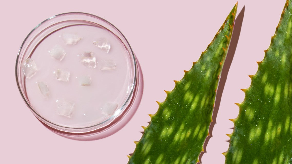 Best Aloe Vera Products for Skin Care: A Comprehensive Review