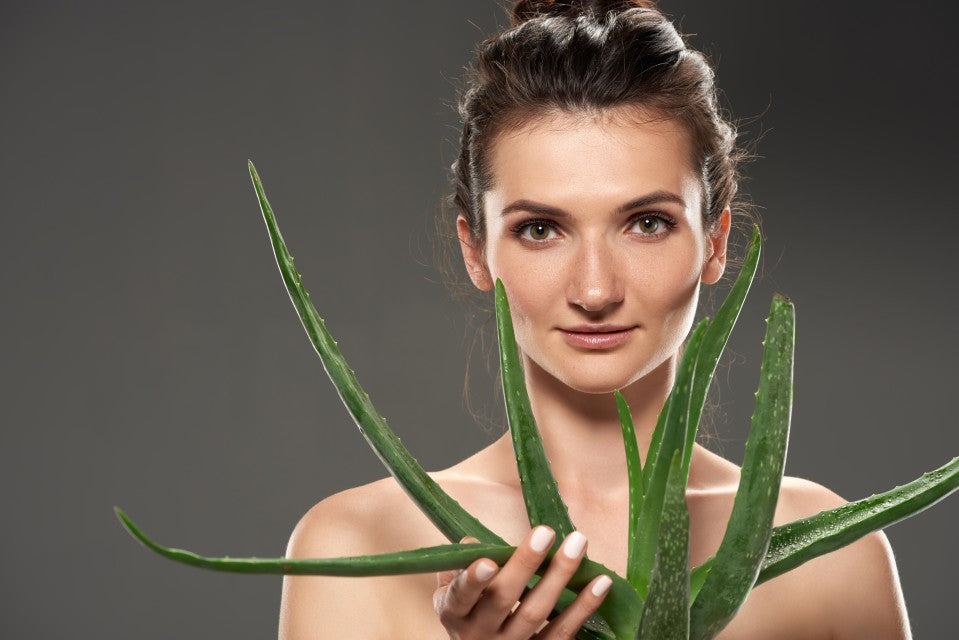 Aloe Vera for Dry Skin