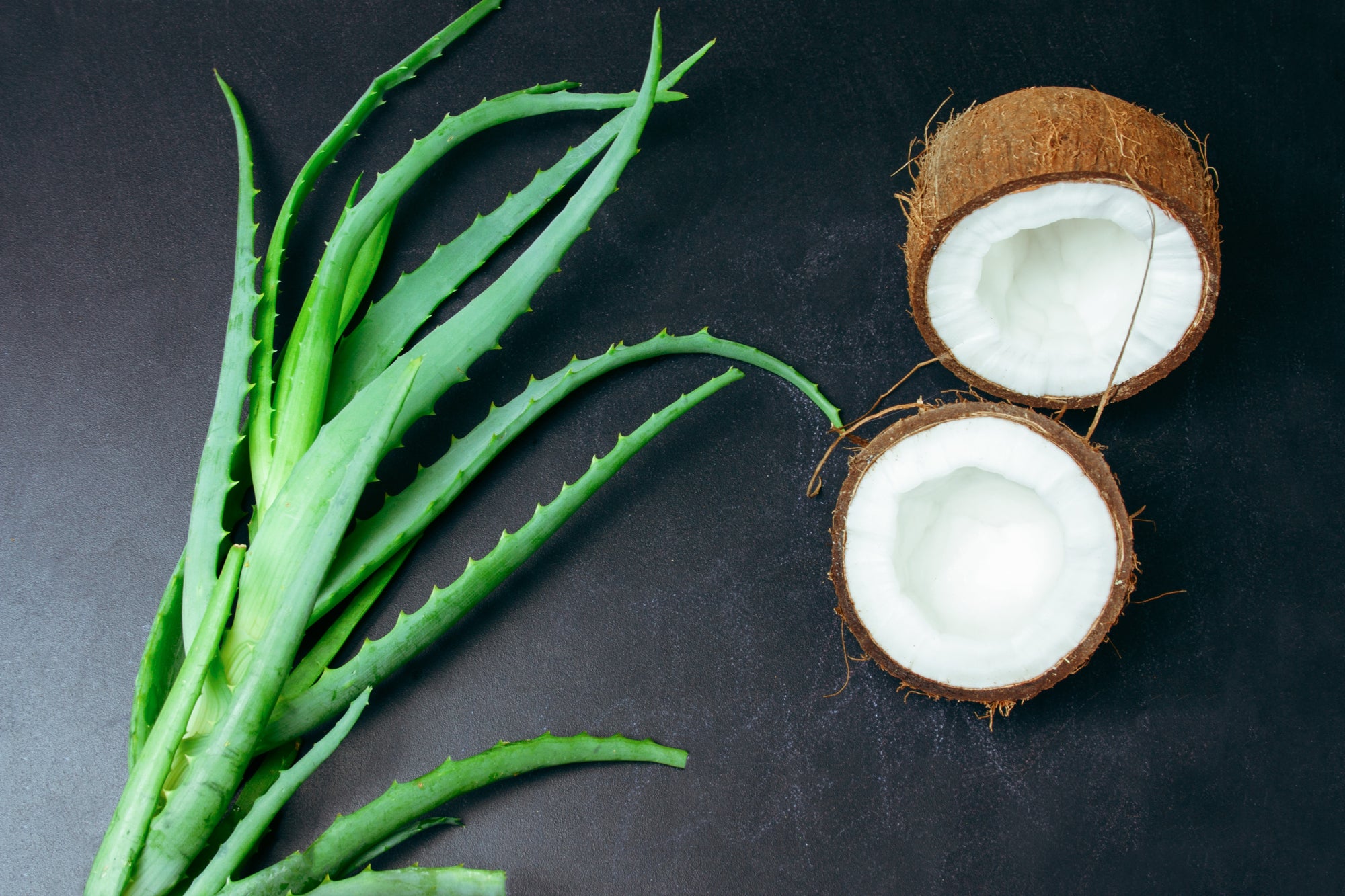 Aloe Vera and Coconut Oil: The Perfect Skin Moisturizer